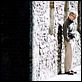 Match Point : photo Woody Allen