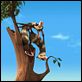 Ice Age 2: El deshielo : photo Carlos Saldanha