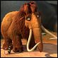 Ice Age 2: El deshielo : photo Carlos Saldanha