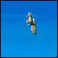 Ice Age 2: El deshielo : photo Carlos Saldanha