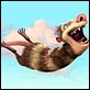 Ice Age 2: El deshielo : photo Carlos Saldanha