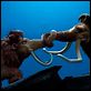 Ice Age 2: El deshielo : photo Carlos Saldanha