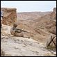 Star Wars: Episodio I - La amenaza fantasma : photo George Lucas