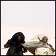 Star Wars: Episodio I - La amenaza fantasma : photo George Lucas