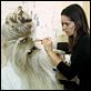 Star Wars: Episodio I - La amenaza fantasma : photo George Lucas