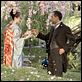 Memorias de una geisha : photo Ken Watanabe, Rob Marshall, Zhang Ziyi
