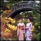 Memorias de una geisha : photo Michelle Yeoh, Rob Marshall, Zhang Ziyi