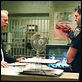 16 calles : photo Bruce Willis, Richard Donner