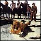 El hombre de Laramie : photo Anthony Mann, James Stewart
