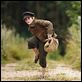Oliver Twist : photo Barney Clark, Roman Polanski