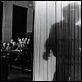 El hombre elefante : photo David Lynch, John Hurt