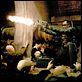 Blade II : photo Guillermo del Toro, Wesley Snipes