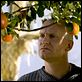 Adams aeler : photo Anders Thomas Jensen, Ulrich Thomsen