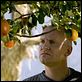 Adams aeler : photo Anders Thomas Jensen, Ulrich Thomsen