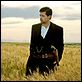El asesinato de Jesse James por el cobarde Robert Ford : photo Andrew Dominik, Brad Pitt