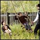 El asesinato de Jesse James por el cobarde Robert Ford : photo Andrew Dominik, Brad Pitt, Mary-Louise Parker