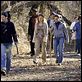 El color del crimen : photo Joe Roth