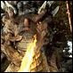 Dragonheart (Corazón de Dragón)