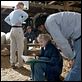 <b>Dakota Fanning, Gary Winick</b> Foto Christophe L  : La telaraña de Carlota