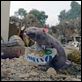 <b>Gary Winick</b> Foto Christophe L  : La telaraña de Carlota