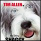 Cariño, estoy hecho un perro : poster Brian Robbins, Tim Allen