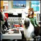 Cariño, estoy hecho un perro : photo Brian Robbins, Kristin Davis, Spencer Breslin, Zena Grey