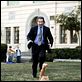 Cariño, estoy hecho un perro : photo Brian Robbins, Tim Allen