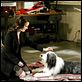 Cariño, estoy hecho un perro : photo Brian Robbins, Kristin Davis