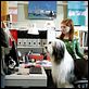 Cariño, estoy hecho un perro : photo Brian Robbins, Kristin Davis, Spencer Breslin, Zena Grey