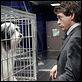 Cariño, estoy hecho un perro : photo Bess Wohl, Brian Robbins, Robert Downey Jr.