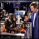 Cariño, estoy hecho un perro : photo Brian Robbins, Tim Allen