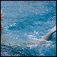 Aquamarine : photo Elizabeth Allen, Sara Paxton