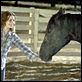 Flicka : photo Alison Lohman, Michael Mayer