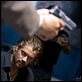 Corrupción en Miami : photo Colin Farrell, Michael Mann