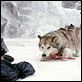 Bajo cero : photo Bruce Greenwood, Frank Marshall, Paul Walker