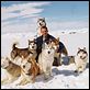 Bajo cero : photo Frank Marshall, Paul Walker