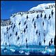 Happy Feet: rompiendo el hielo : photo George Miller