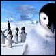 Happy Feet: rompiendo el hielo : photo George Miller