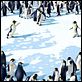 Happy Feet: rompiendo el hielo : photo George Miller