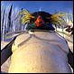 Happy Feet: rompiendo el hielo : photo George Miller