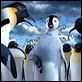 Happy Feet: rompiendo el hielo : photo George Miller