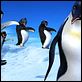 Happy Feet: rompiendo el hielo : photo George Miller