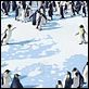 Happy Feet: rompiendo el hielo : photo George Miller