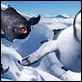 Happy Feet: rompiendo el hielo : photo George Miller