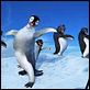 Happy Feet: rompiendo el hielo : photo George Miller