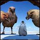 Happy Feet: rompiendo el hielo : photo George Miller