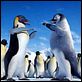 Happy Feet: rompiendo el hielo : photo George Miller
