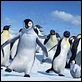 Happy Feet: rompiendo el hielo : photo George Miller