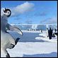 Happy Feet: rompiendo el hielo : photo George Miller