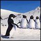 Happy Feet: rompiendo el hielo : photo George Miller